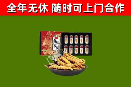 湘阴县回收冬虫夏草价格