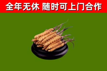 湘阴县烟酒回收冬虫夏草.jpg